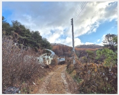  2024Ÿ8375  ֽ  õ 9      (Ӿ)