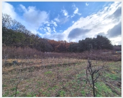  2024Ÿ8375  ֽ  õ 9      (Ӿ)