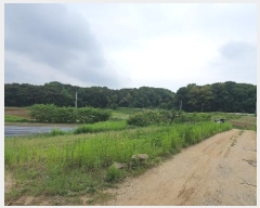  2024Ÿ��69219  ����