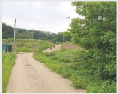  2024Ÿ��69219  ����