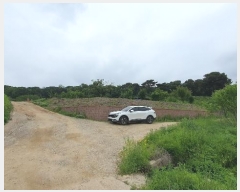  2024Ÿ��69219  ����