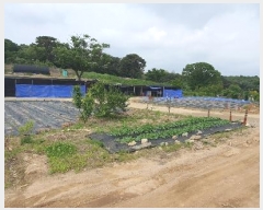  2024Ÿ��69219  ����