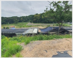  2024Ÿ��69219  ����