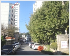  2024Ÿ81639  ֽ  26 20, 6603ȣ (Ÿũ)    Ʈ