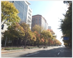  2024Ÿ83154   ϻ굿 ȣ 340-11, 151511ȣ (鼮,зϾ)    ǽڰ