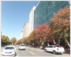  2024Ÿ83154   ϻ굿 ȣ 340-11, 151511ȣ (鼮,зϾ)    ǽڰ