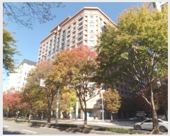  2024Ÿ83154   ϻ굿 ȣ 340-11, 151511ȣ (鼮,зϾ)    ǽڰ