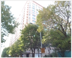  2024Ÿ83154   ϻ굿 ȣ 340-11, 151511ȣ (鼮,зϾ)    ǽڰ