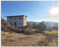  2024Ÿ83239  ֽ   596-25      ð