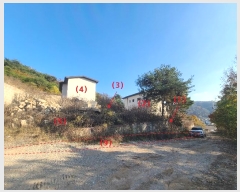  2024Ÿ83239  ֽ   596-25      ð