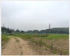  2024Ÿ��3223 ��� ����� ���յ� 8       ����(��1)���