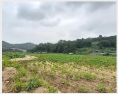  2024Ÿ��3223 ��� ����� ���յ� 8       ����(��1)���