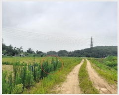  2024Ÿ��3223 ��� ����� ���յ� 8       ����(��1)���