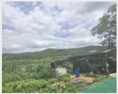  2024Ÿ��3223 ��� ����� ���յ� 8       ����(��1)���