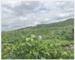  2024Ÿ��3223 ��� ����� ���յ� 8       ����(��1)���