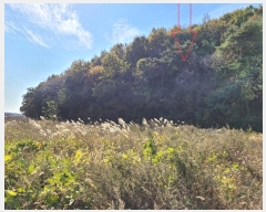  2024Ÿ��4653 ��� �Ȼ�� �ܿ��� ��ε��� ��107-5      ����(�Ӿ�)���