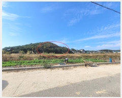  2024Ÿ��4653 ��� �Ȼ�� �ܿ��� ��ε��� ��107-5      ����(�Ӿ�)���