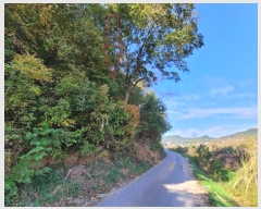  2024Ÿ��4653 ��� �Ȼ�� �ܿ��� ��ε��� ��107-5      ����(�Ӿ�)���