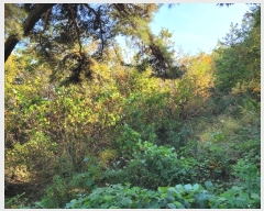  2024Ÿ��4653 ��� �Ȼ�� �ܿ��� ��ε��� ��107-5      ����(�Ӿ�)���