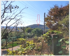  2024Ÿ��4653 ��� �Ȼ�� �ܿ��� ��ε��� ��107-5      ����(�Ӿ�)���