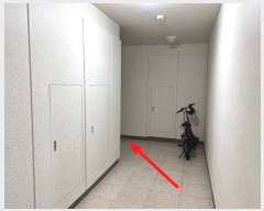  2024Ÿ��55743 ��� ����� ������з�264���� 12, 203�� 34��3403ȣ (���յ�,������2ȣ�ݽ���÷��̽�)    ����Ʈ���