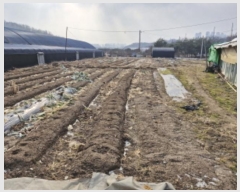  2024Ÿ72533  Ȼ ܿ ȭ 144      (1)