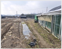  2024Ÿ72533  Ȼ ܿ ȭ 144      (1)