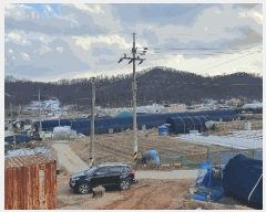  2024Ÿ72533  Ȼ ܿ ȭ 144      (1)