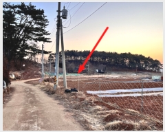  2024Ÿ��606  �������