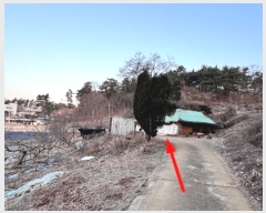  2024Ÿ��606  �������