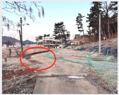  2024Ÿ��606  �������