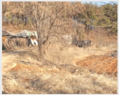  2024Ÿ��606  �������