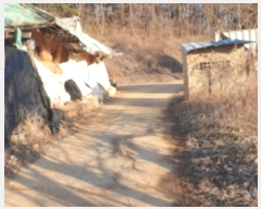  2024Ÿ��606  �������