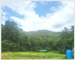  2024Ÿ��59851 ��� ������ ���е� ��86-2       ����(�Ӿ�)���