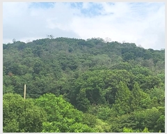  2024Ÿ��59851 ��� ������ ���е� ��86-2       ����(�Ӿ�)���