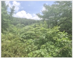  2024Ÿ��59851 ��� ������ ���е� ��86-2       ����(�Ӿ�)���