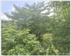  2024Ÿ��59851 ��� ������ ���е� ��86-2       ����(�Ӿ�)���