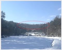  2024Ÿ70490  Ȼ ϱ 絿 98      (Ӿ)