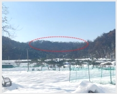  2024Ÿ70490  Ȼ ϱ 絿 98      (Ӿ)