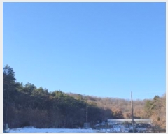  2024Ÿ70490  Ȼ ϱ 絿 98      (Ӿ)