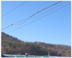  2024Ÿ70490  Ȼ ϱ 絿 98      (Ӿ)