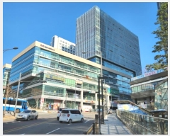  2024Ÿ5519   ȷ104 17, 1133ȣ (,Ŭ)     ,繫ǰ