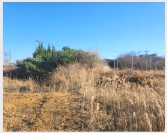  2024Ÿ5618  Ȼ ܿ κϵ 1865-12      Ÿ