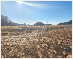  2024Ÿ5618  Ȼ ܿ κϵ 1865-12      Ÿ