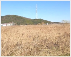  2024Ÿ5618  Ȼ ܿ κϵ 1865-12      Ÿ