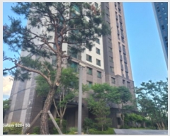  2024Ÿ��59059  ����Ʈ���