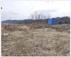  2024Ÿ73031  Ȼ ܿ ε 99-29      (1)