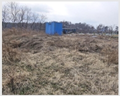  2024Ÿ73031  Ȼ ܿ ε 99-29      (1)