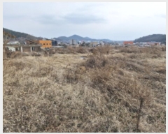  2024Ÿ73031  Ȼ ܿ ε 99-29      (1)