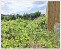  2024Ÿ73031  Ȼ ܿ ε 99-29      (1)